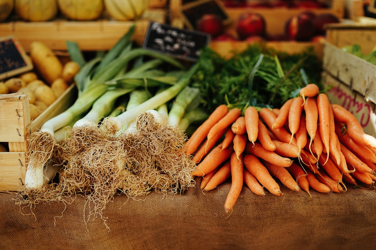 Brain-healthy foods including nuts, fish, and berries